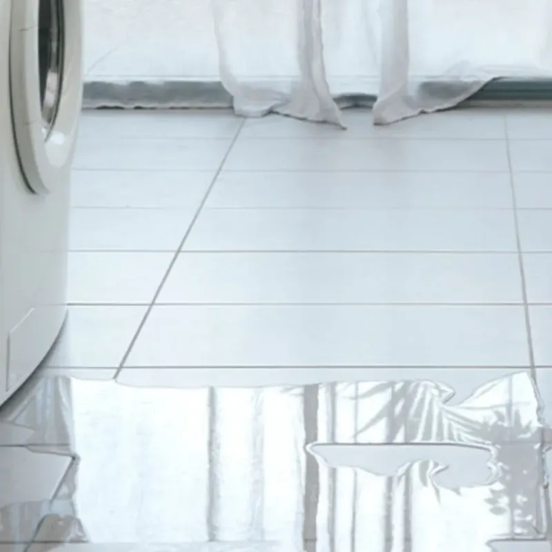 Appliance Leak Cleanup in Grand Bay, AL