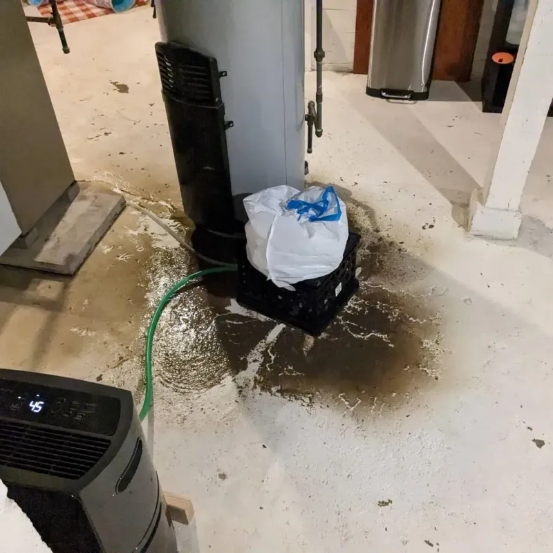 Sewage Backup Cleanup Service in Grand Bay, AL